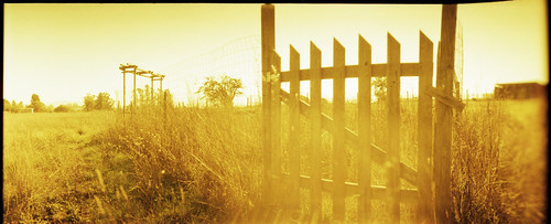 panorama film 35mm garden gate horizon cottage sonomacounty sebastopol 202 redscale