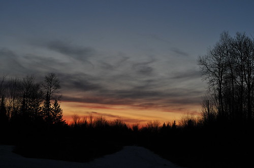 trees sunset ontario canada silhouette clouds peterborough