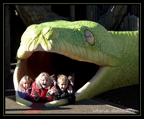 park kids canon fun zoo snake smiles eaten basilisk canoneos5d canonef70200mmf4lisusm
