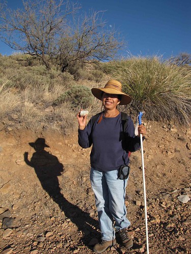 arizona plants usa portraits landscapes desert unitedstatesofamerica hats gps 2009 queta