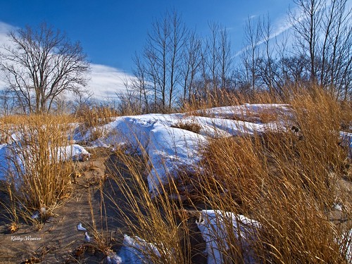 winter snow nature grass landscape photography pennsylvania dunes erie peninsula presqueislestatepark olympuse520 kathyweaver