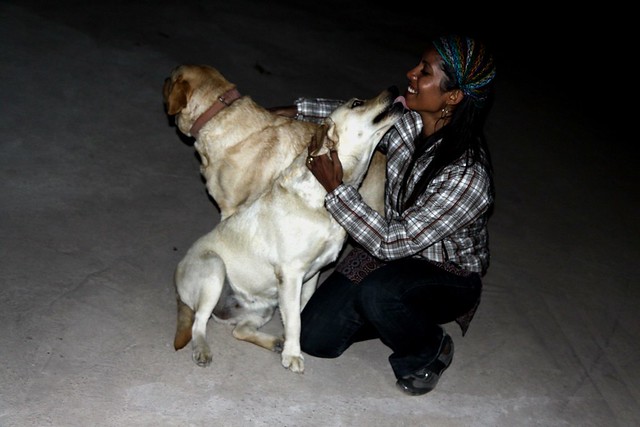 dogs india
