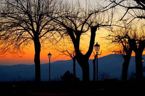 sunset sky italy lake tree silhouette lago italia tramonto branch streetlamp cielo outline albero ramo lampione radicofani guatantavara