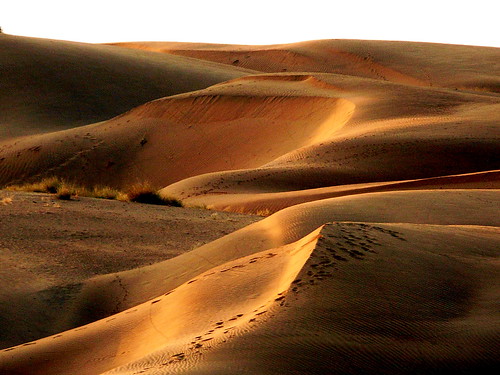 sunset india gold golden sand desert dune sable thar rajasthan inde artofimages bestcapturesaoi celedena coth5 elitegalleryaoi