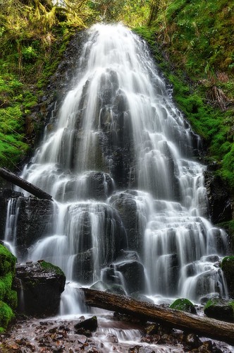 trees green oregon river waterfall moss spring log or sunny columbia falls fairy gorge ikonoki