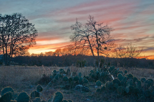 ranch blue trees sunset red cactus sky plants sun tree colors clouds rural nikon texas tx branches horizon country hill brush cedar pear dslr hillcountry fredericksburg twigs prickly scrub myfavs cactii dx prickley d90 landscapesarchitecture misquite