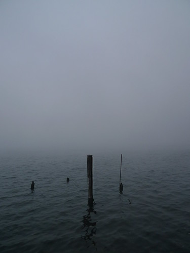 lago lac 24 24mm nebbia lombardia lecco mattino lario lagodilecco inguineleonardesco