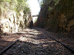 Hill Top Railway Cuttings