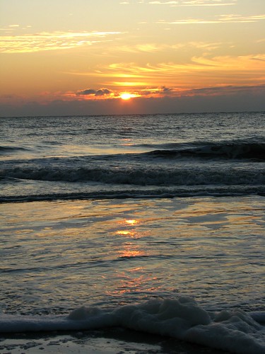 ocean beach birds sunrise hiltonhead