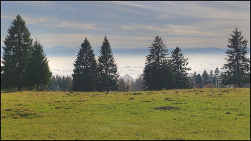 panorama cloud alps walk hike hills alpine jura hdr hugin nebelmeer photomatix grenchenberg hochnebel singlephotohdr romontberg stitchedfromabout10shots downsideofcarrying justa50mm