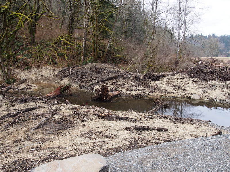 New Drainage Creek: This looks like it was created by recent floods.