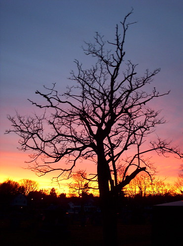 november autumn sunset sky color tree silhouette raw massachusetts contest westfield bostoncom pinehillcemetery november2009