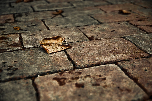 brick leaves stone leaf pad patio paver pavers padfave