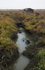 mud creek