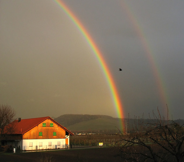 Fascinating Nature - First Double Rainbow