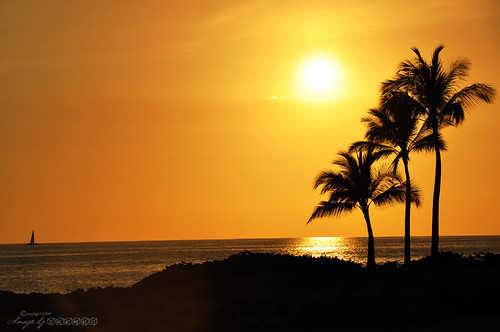 ocean sunset sun beach water silhouette boat nikon sailing palmtree d90 nikond90 jhames808 jhamesphotography photosbyjhames