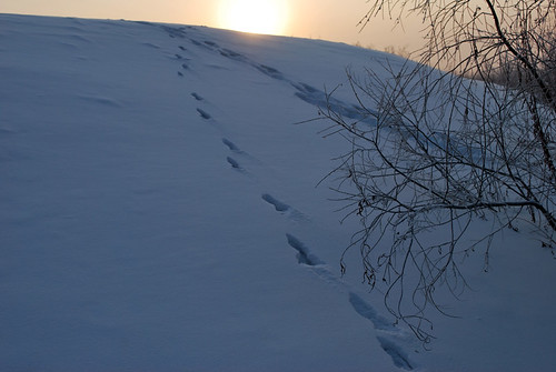 winter cold sunrise russia siberia fareast yakutsk yakutia sakha