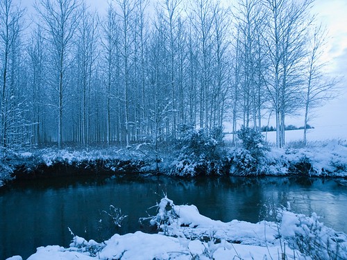 blue trees winter snow landscape e3 oxfordshire oympus stadhampton riverthame 1260mm chislehampton