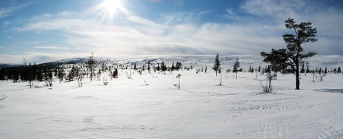 winter panorama sweden schweden sverige dalarna fulufjäll
