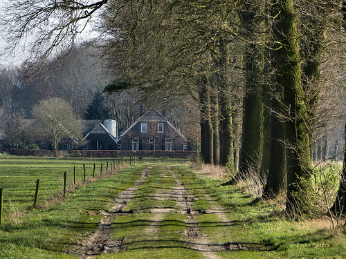 trees holland netherlands farmhouse rural landscape bomen path pad nederland pastoral achterhoek landschap boerderij gelderland vorden landelijk panasonicdmcfz150 1130989