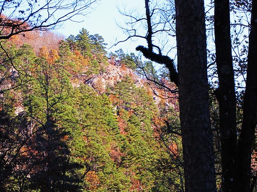 park travel blue trees sky usa green fall nature water rock forest canon landscapes daylight leaf nationalpark scenery rocks view state stones south country peaceful powershot hills pines daytime arkansas tranquil ouachitanationalforest sx10is waltphotos