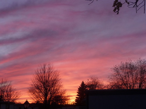 pink november autumn trees sunset sky orange west fall clouds skies dusk belmont michigan horizon