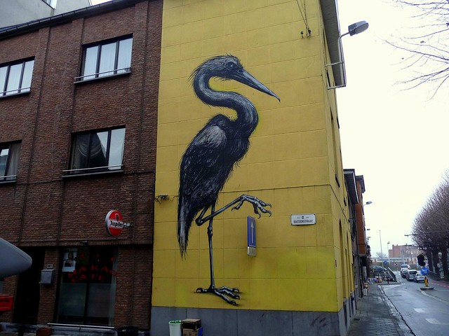 graffiti | roa | ghent . belgium