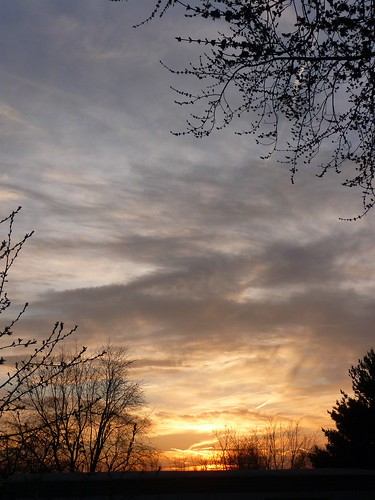 trees sunset orange sun west clouds spring dusk belmont good michigan april friday setting