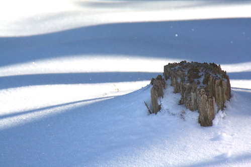 winter snow sparkles nc scenery shadows northcarolina naturephotography catawbacounty davidhopkinsphotography