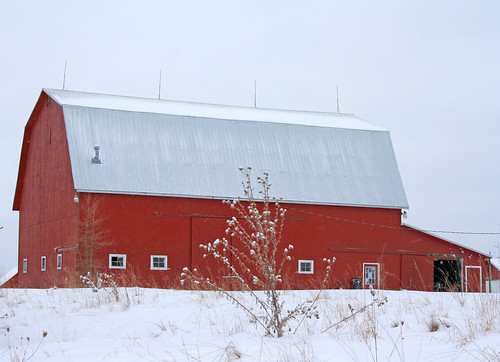 winter red snow barn rural michigan farm country farming ag february agriculture redbarn raytownship