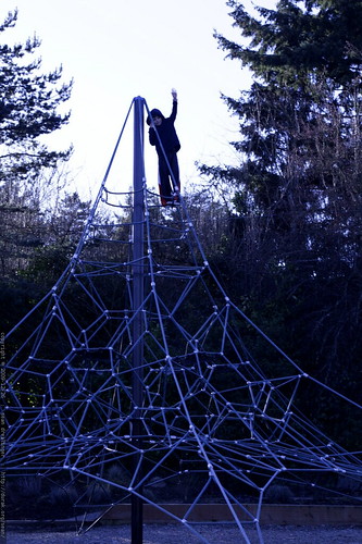 nick atop the spiderweb
