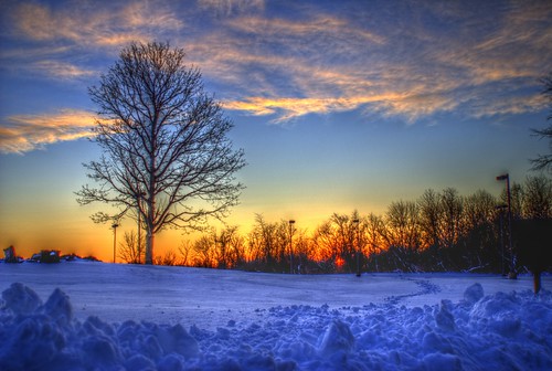 winter sunset snow tree hdr