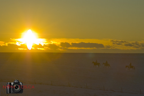 winter sunset canada field nikon d70 riding alberta equestrian horseriding