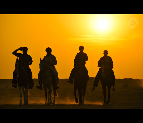 life light sunset horses india men silhouette sand nikon desert candid riding dust incredible jaisalmer rajasthan d90