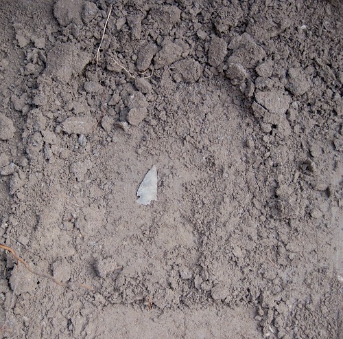 13.5 Projectile point in situ