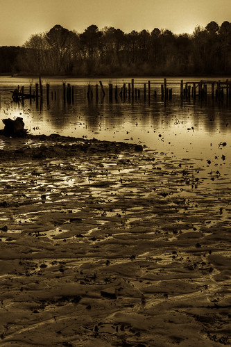 reflection river md maryland easternshore salisbury duotone delmarva wicomico wicomicoriver canon50d