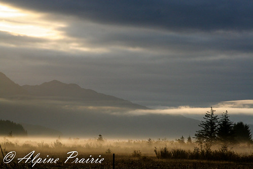morning trees mist mountains fog alaska clouds fence