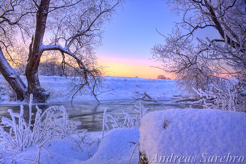 trees winter sunset snow cold water river hdr 2010