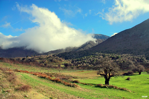 tree clouds island plateau crete chania κρήτη οροπέδιο omalos diamondclassphotographer flickrdiamond ομαλόσ