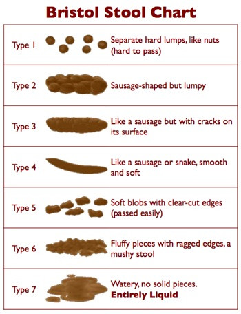 Bristol Stool Chart | From the Irritable Bowel lecture at no… | Flickr