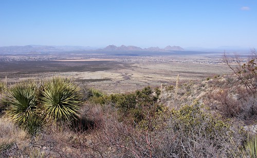 Elevation of San Andres National Wildlife Refuge, Santa Gertrudis Dr ...