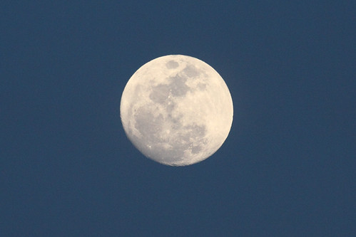 moon birmingham alabama stockphoto canon50d bruceleibowitz