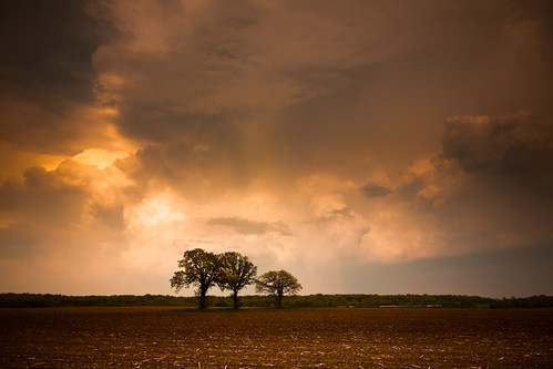 trees light sky usa storm tree nature field wisconsin clouds rural landscape photography three countryside photo spring midwest alone open image horizon country picture atmosphere soil dirt northamerica canonef1740mmf4lusm evansville expanse canoneos5d rockcounty lorenzemlicka