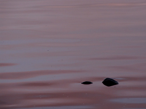 lake water rock stone dusk okanagan ripple surface shore