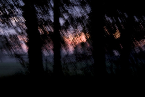 wood sunset mist canon evening blurry october 300d appel spooky digitalrebel 2009 klauspeter sittensen scheesel