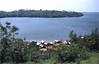 Ebrie lagoon, Tiagba, Cote d'Ivoire