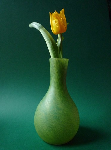 flower fleur leaves jaune vase fond feuille verre tulipe naturemorte tige patedeverre