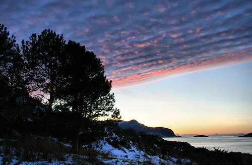 trees sunset sea snow clouds fjord ålesund aalesund godøy mackerelclouds larigan valderøyfjord phamilton