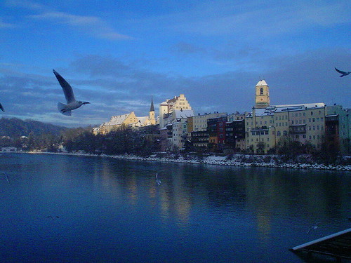 blue schnee winter seagulls snow river inn blau fluss möwen wintermorgen wasserburgaminn innfronthäuser