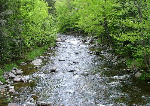 newengland newhampshire whitemountains nh pittsburg cooscounty greatnorthwoods connecticutlakes